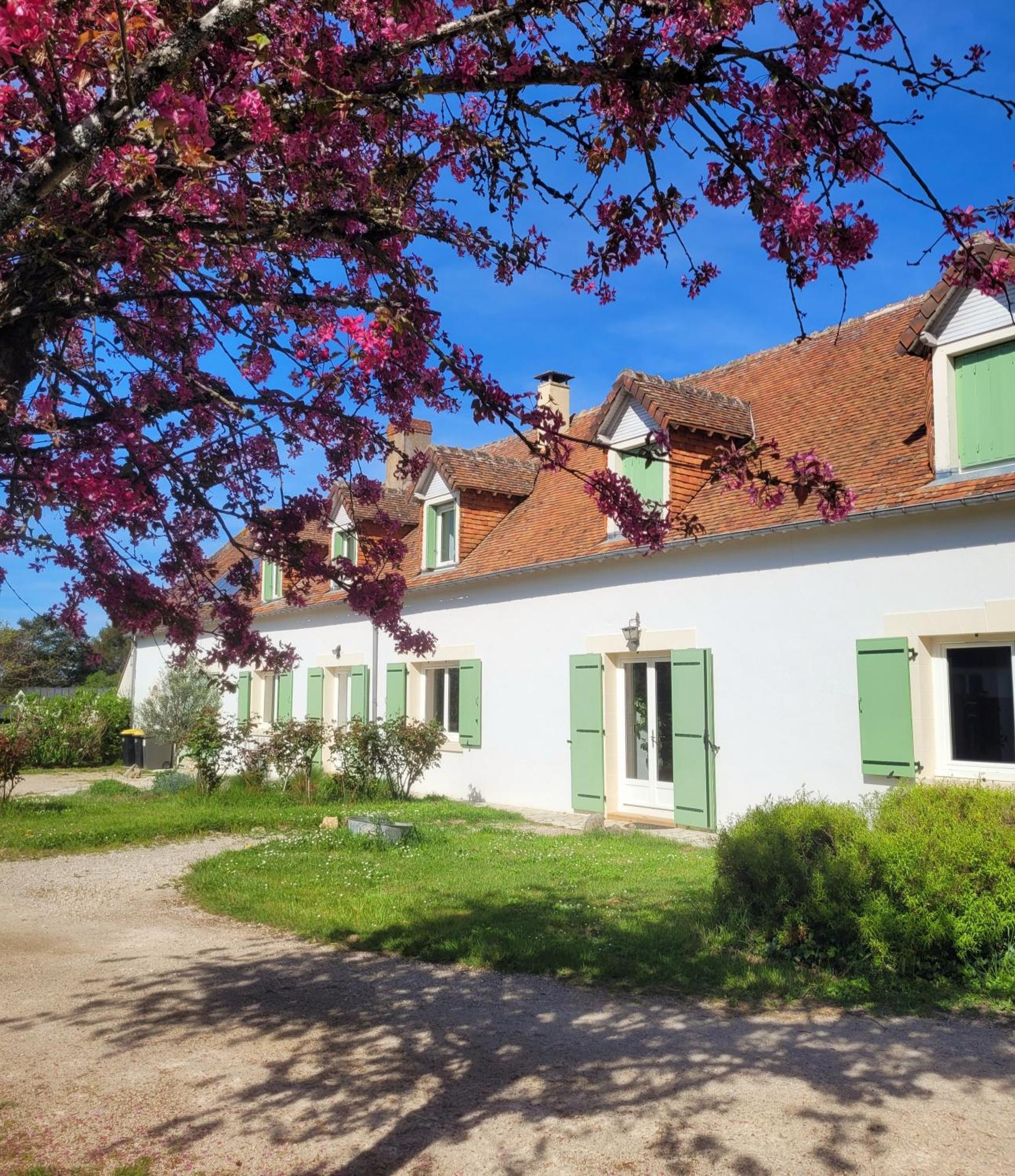 L Amalia Au Coeur Des Chateaux De La Loire Et Du Zoo De Beauval Sambin 外观 照片